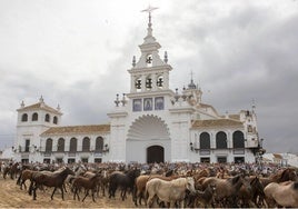 ¿Cuándo es la Saca de Yeguas 2025 entre Almonte y El Rocío y en qué consiste?