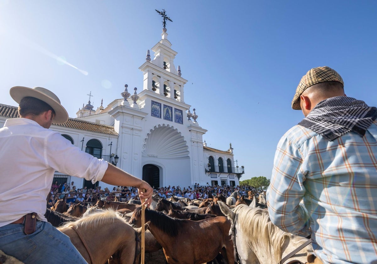 Las yeguas, a los pies del santuario del Rocío
