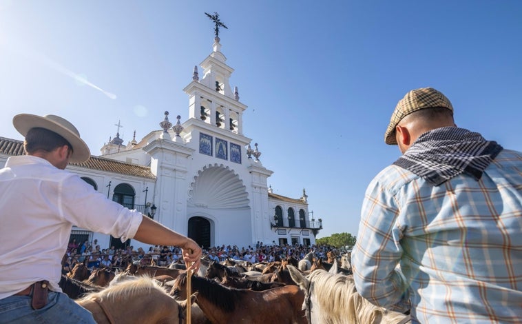 Imagen principal - Momentos de la Saca de las Yeguas, esta mañana en El Rocío