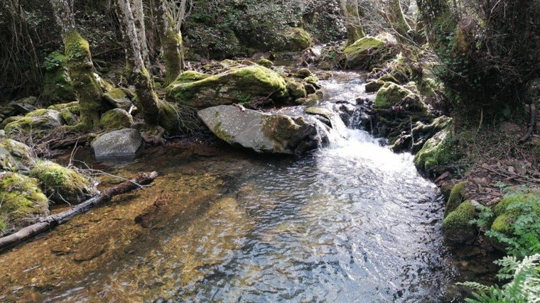 Imagen del Charco del Sapo, en Cortelazor