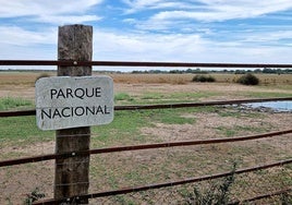 El Gobierno andaluz exigirá hoy reevaluar los riesgos del proyecto gasístico de Doñana