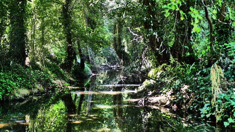 Río Múrtigas