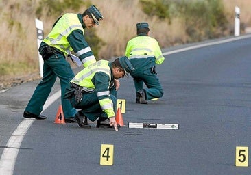 El informe de Guardia Civil por el accidente mortal con mulos sueltos en Rociana señala al dueño por «negligente»