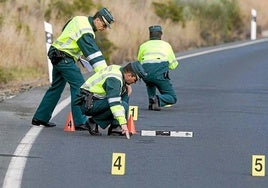 El informe de Guardia Civil por el accidente mortal con mulos sueltos en Rociana señala al dueño por «negligente»