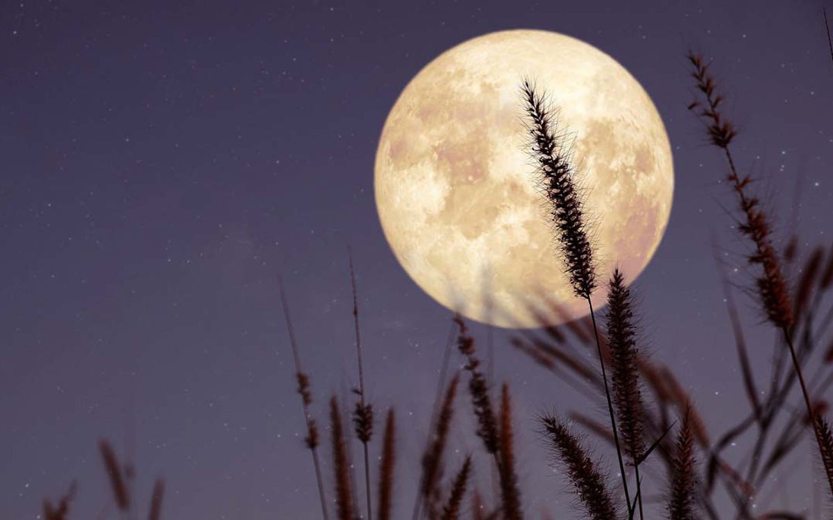 Luna llena