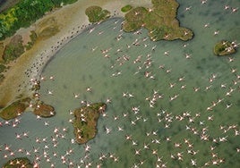 La Unesco amenaza de nuevo con mandar Doñana a su lista negra