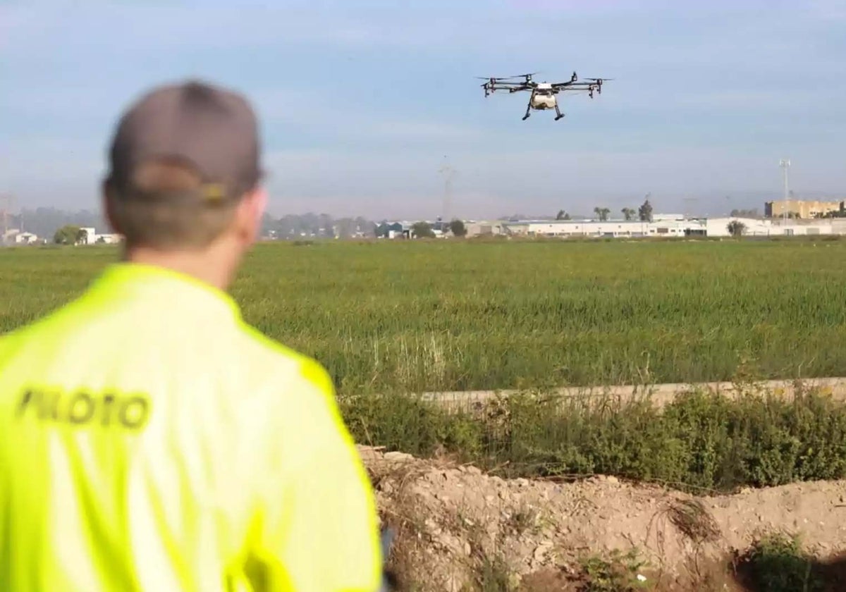 Un dron en tareas de fumigación en una zona de marismas