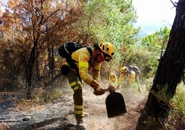 La precariedad de quienes combaten el fuego en los parajes de Huelva