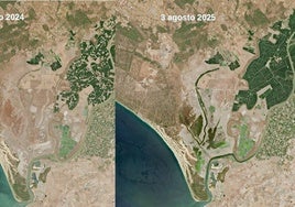 Amplias zonas de marisma de Doñana se mantienen inundadas pese al verano