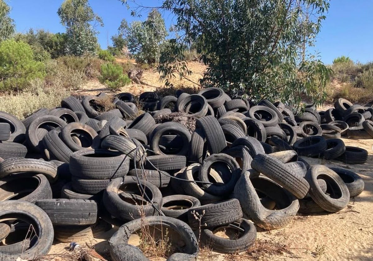 Vertedero clandestino de neumáticos en mitad del campo entre Villarrasa y Bollullos