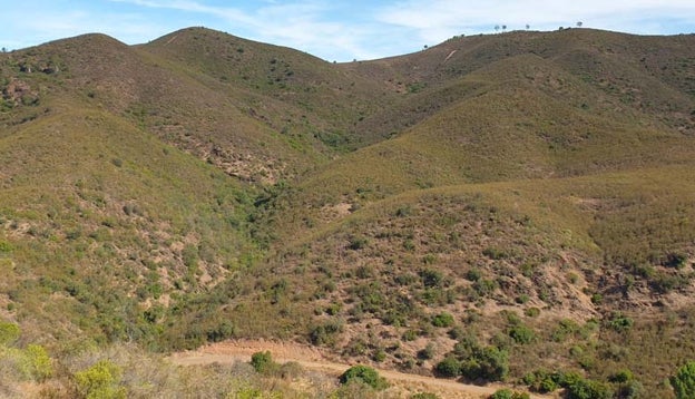 Imagen después - La Rivera del Gallego destruida por las llamas en 2004 y su aspecto en la actualidad