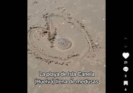 La playa de Isla Canela aparece llena de medusas: «No es habitual verlas por aquí»