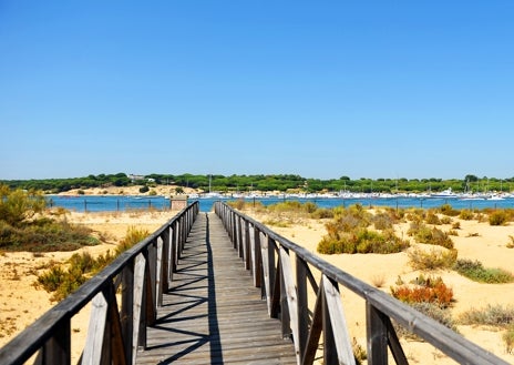 Imagen secundaria 1 - Paraje Natural Marismas del Río Piedras y Flecha del Rompido