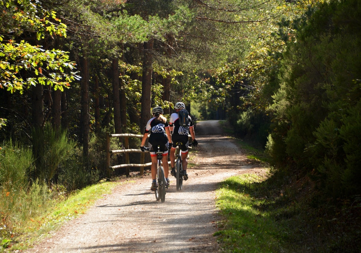 Paseo de ciclistas