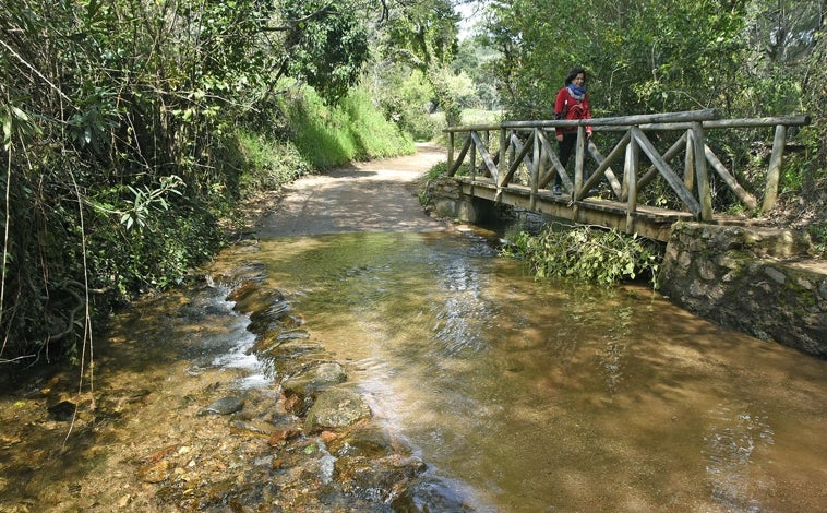 Imagen principal - Rivera de Santa Ana y Chorros de Joyarancón