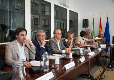 Almonte acusa al Gobierno de introducir «un nuevo conflicto en Doñana» tras aprobar el deslinde de la marisma