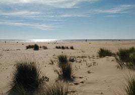 El geólogo Juan Antonio Morales revela por qué las playas de Huelva son únicas: «Hay 120 kilómetros de arena continua»