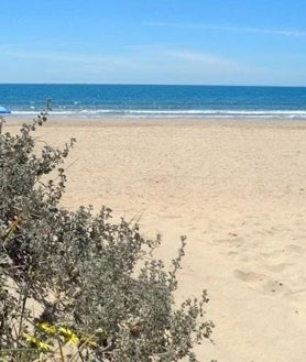 Imagen secundaria 2 - Playas de Matalascañas, Islantilla y La Bota
