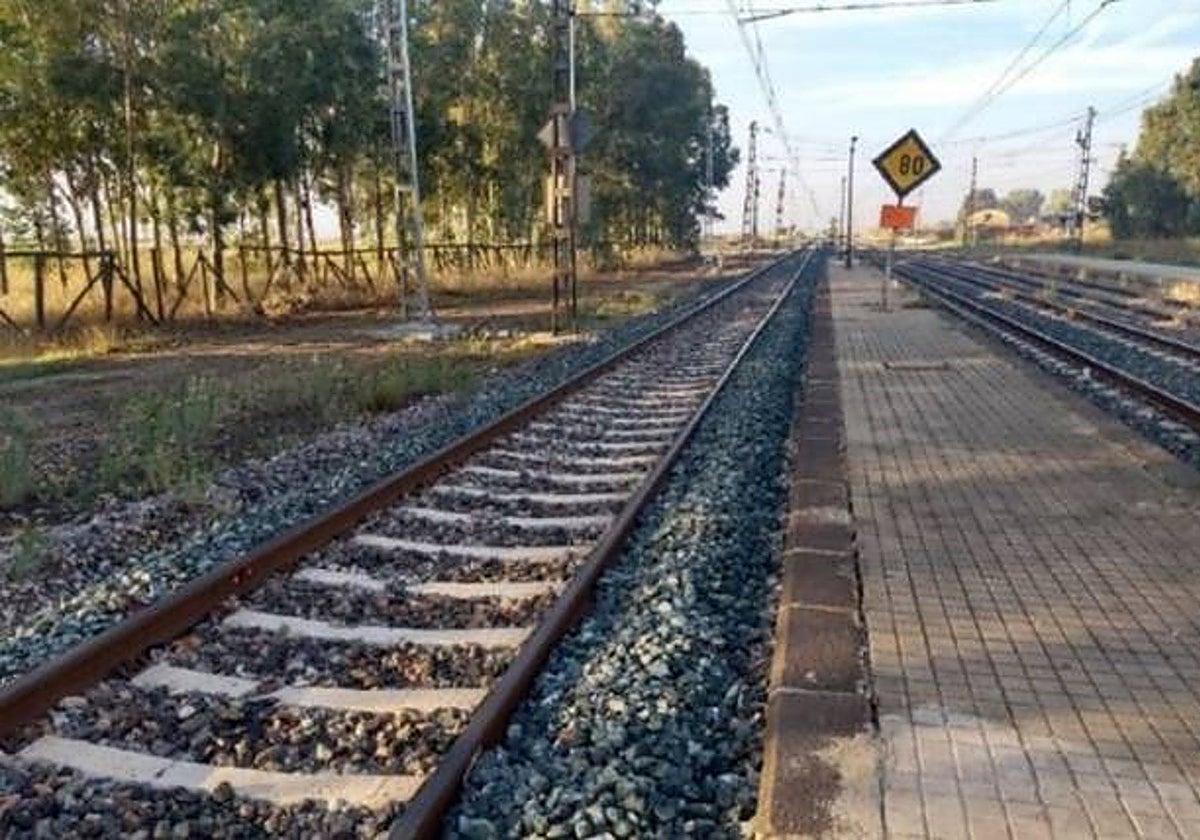 Interrumpida la circulación de tren entre Gibraleón y Calañas por la caída de un árbol