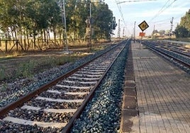 Interrumpida la circulación de tren entre Gibraleón y Calañas por la caída de un árbol