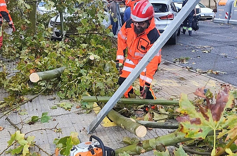 Bomberos quitando ramas de árboles caídos al suelo
