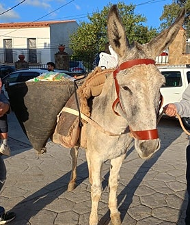 Imagen secundaria 2 - Tostón soldario de castañas en Aracena; Santa Ana la Real y burro con alforjas