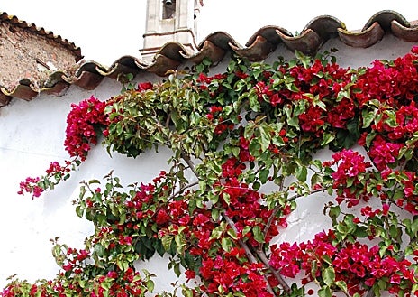 Imagen secundaria 1 - Iglesia Santa María Madalena, fachada caleña y espadaña de la ermita de nuestra señora de cala