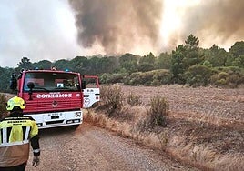 Radiografía del incendio forestal en Huelva: la negligencia humana suele estar detrás, pero sin intencionalidad