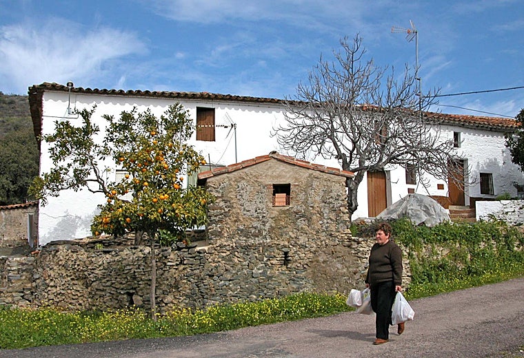 La aldea de Calabazares