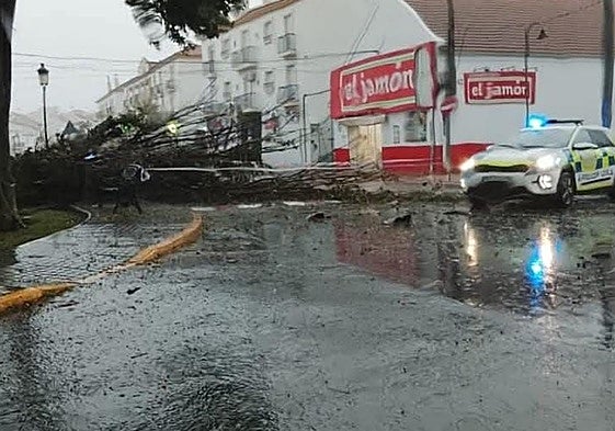 La borrasca Claudia causó este pasado fin de semana varios incidentes en Cartaya