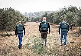 Los alcaldes de varios municipios del Condado de Huelva han solicitado refuerzos para la seguridad rural