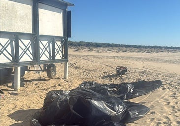 Desmontaje del Playa del Este, del que apenas queda la estructura en pie