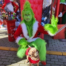 Daniel Nogales encarna en Corrales al simpático personaje navideño del Grinch