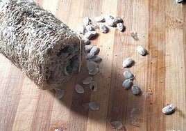 Una vieja esponja que se usaba en muchos hogares de Huelva, se vuelve a poner de moda