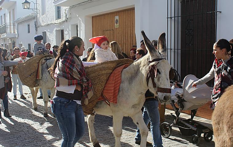 Paseo en burro por las calles de la localidad