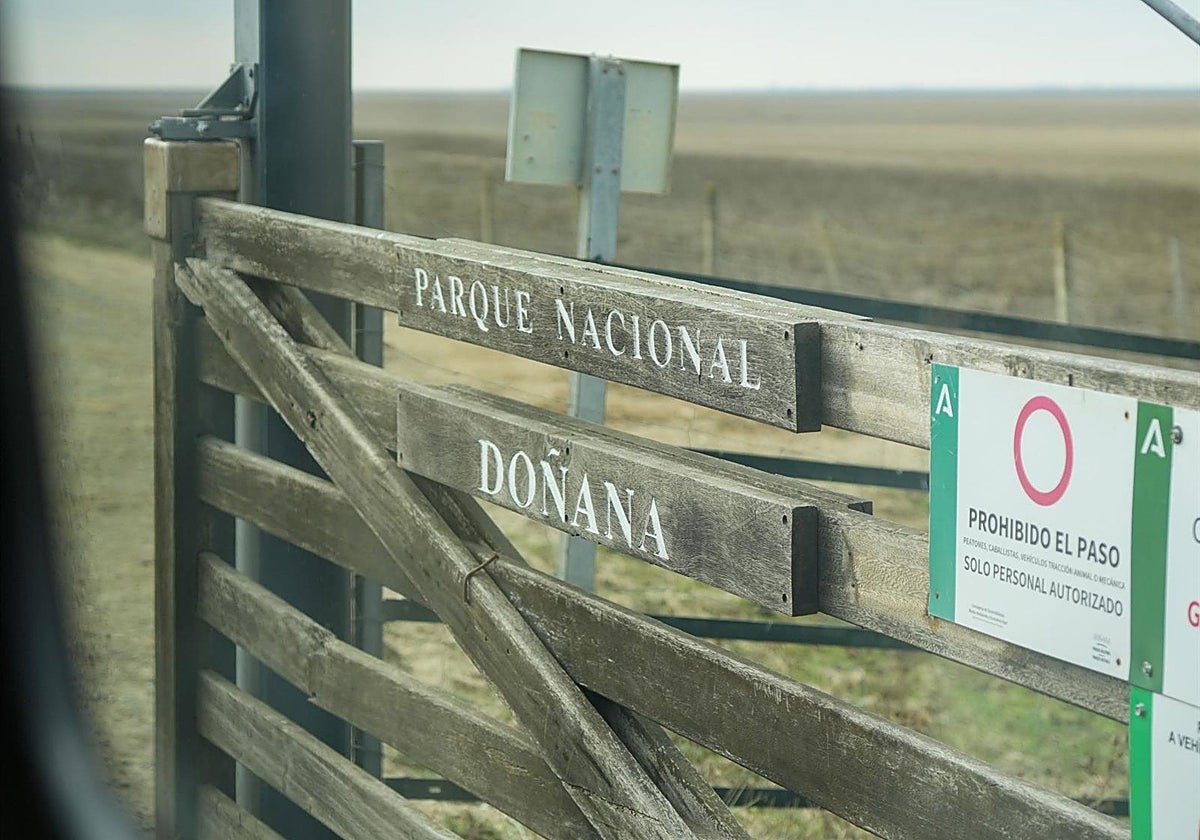 Parque Nacionald de Doñana