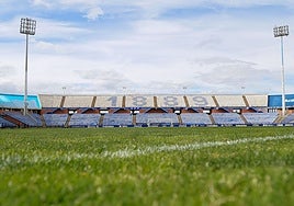 Césped del Nuevo Colombino