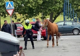 La Policía controla un caballo suelto en la salida del Prendimiento