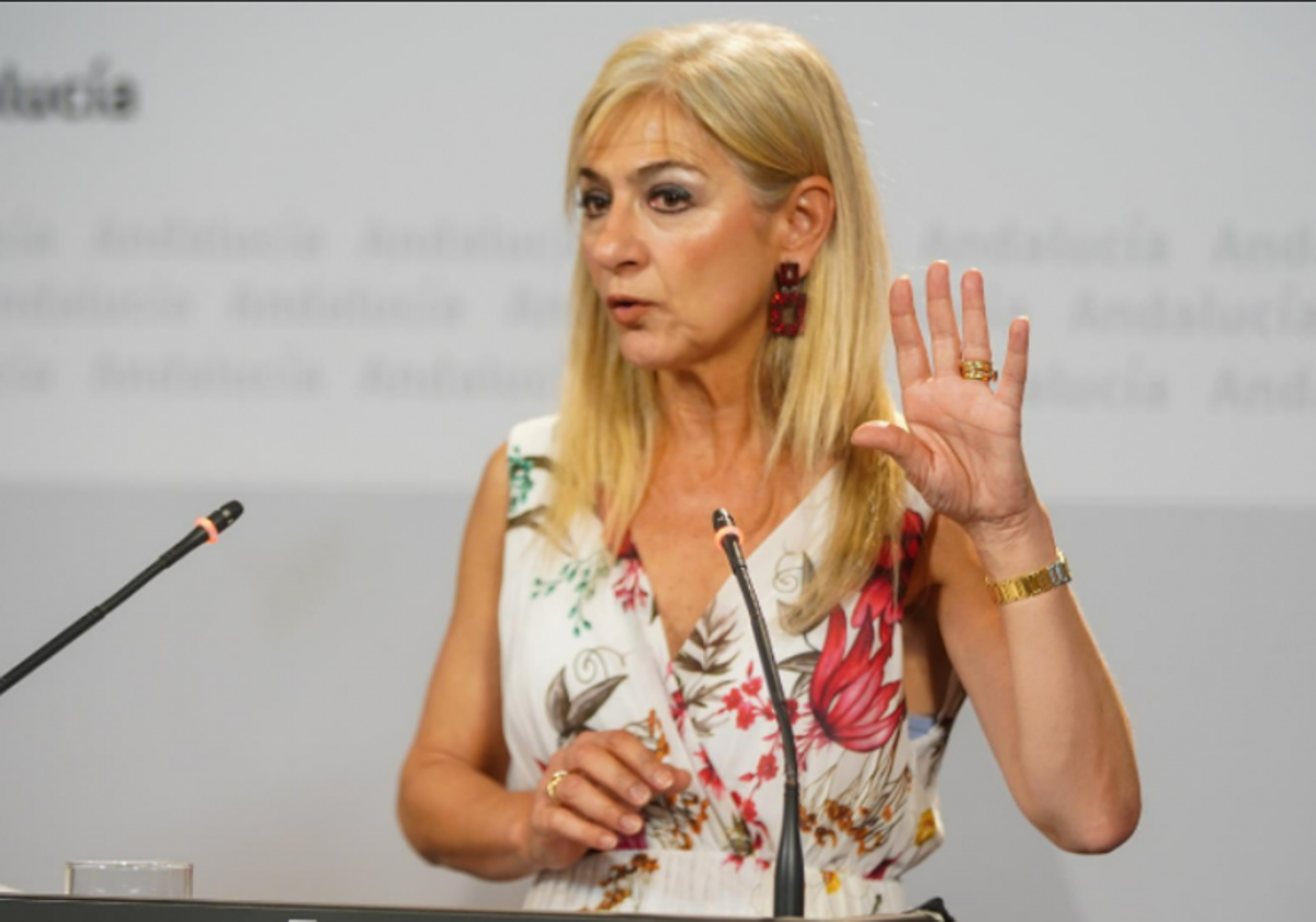 La consejera de Educación, Patricia del Pozo, este martes en el Consejo de Gobierno