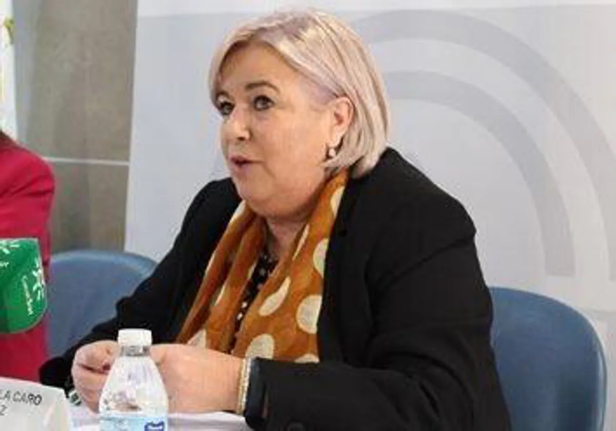 Manuela Caro, delegada de Salud de la Junta de Andalucía