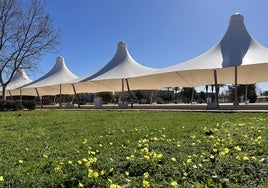 Acampada de estudiantes «indefinida» en la Universidad de Huelva para que haya un alto al fuego en Palestina
