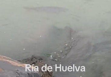 Un pescador estaba en la ría de Huelva y no se cree lo que vio en el agua: «Hacía 25 años que no veía eso»