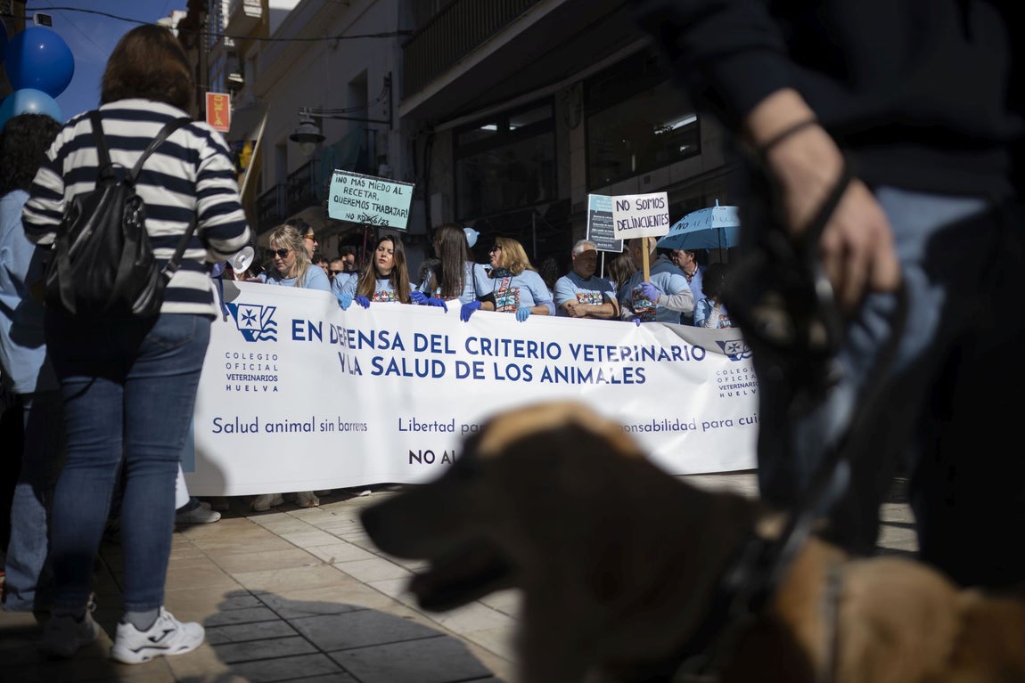 Los Veterinarios de Huelva se manifiesta en contra de la Ley de Medicamentos
