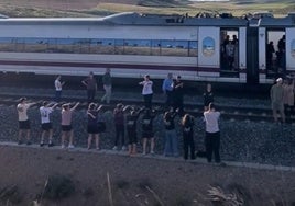 El tren se quedó parado tras el apagón y los pasajeros se salieron para hacer zumba: «¡Se nos va la cabeza!»