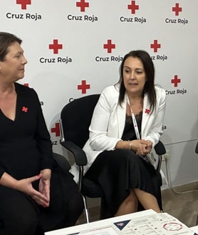 Imagen secundaria 2 - Cruz Roja atendió en Huelva a más de 29.000 personas en situación de vulnerabilidad en 2024