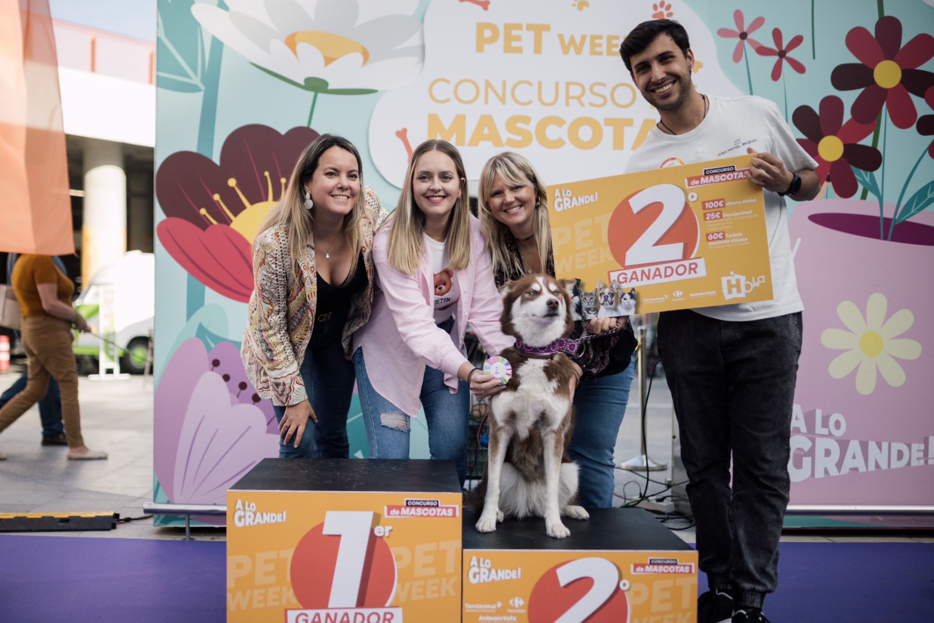 Estas son las mejores mascotas de Huelva