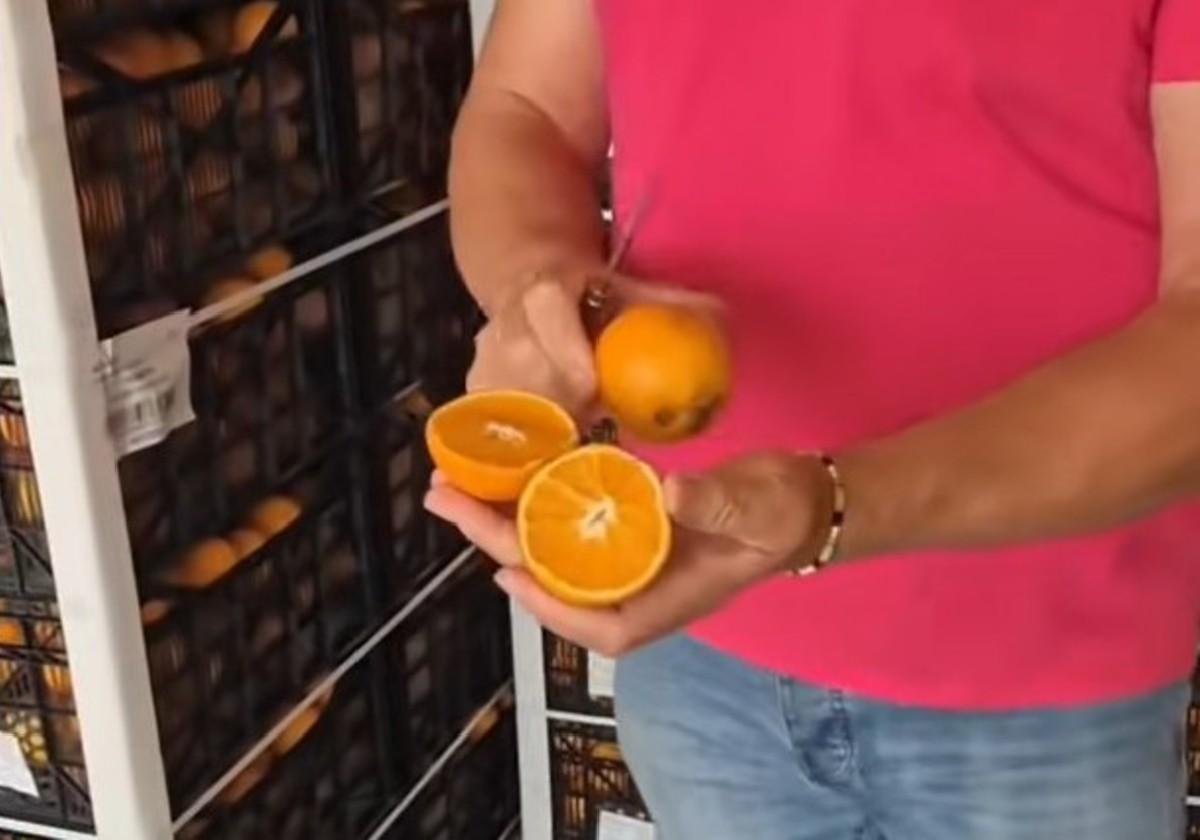 Un frutero de Cádiz afirma esto sobre las naranjas de Huelva