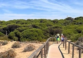 El problema que tuvo un bañista que fue a una playa de Huelva: «Le habrán salido pupas en los pies...»