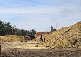 Ence da por extinguido el incendio, que habría afectado al 17% de la biomasa almacenada en sus instalaciones