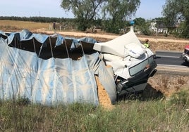 Vuelca un camión cargado de arena en Almonte